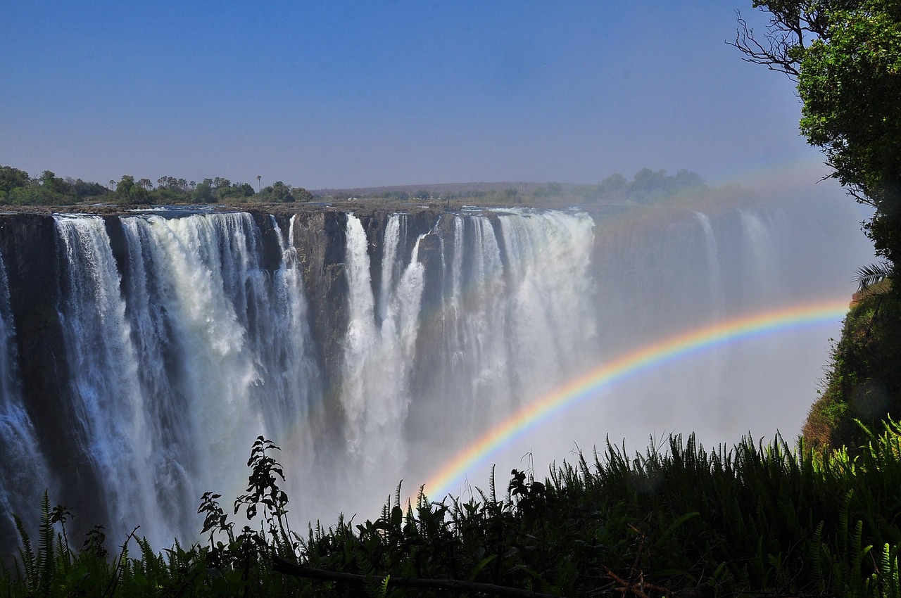 African diaspora travel diaries explore heritage connections cultural discoveries building bridges between homeland experiences global adventures